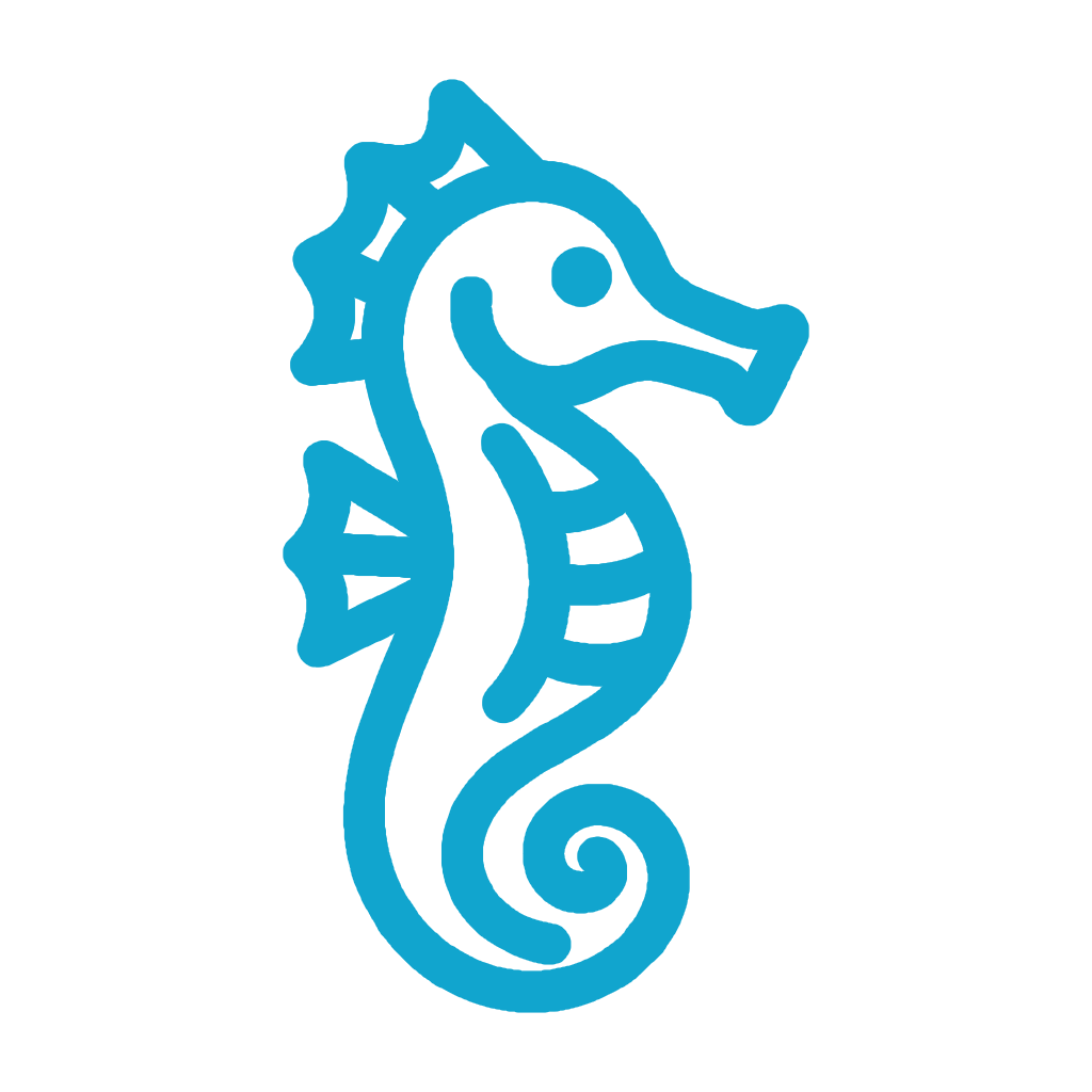 Seahorse XFe96